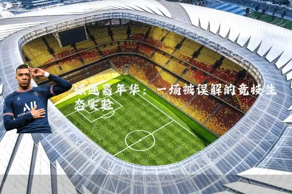 球迷嘉年华:一场被误解的竞技生态实验