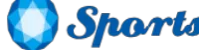 华体会官方品牌Logo